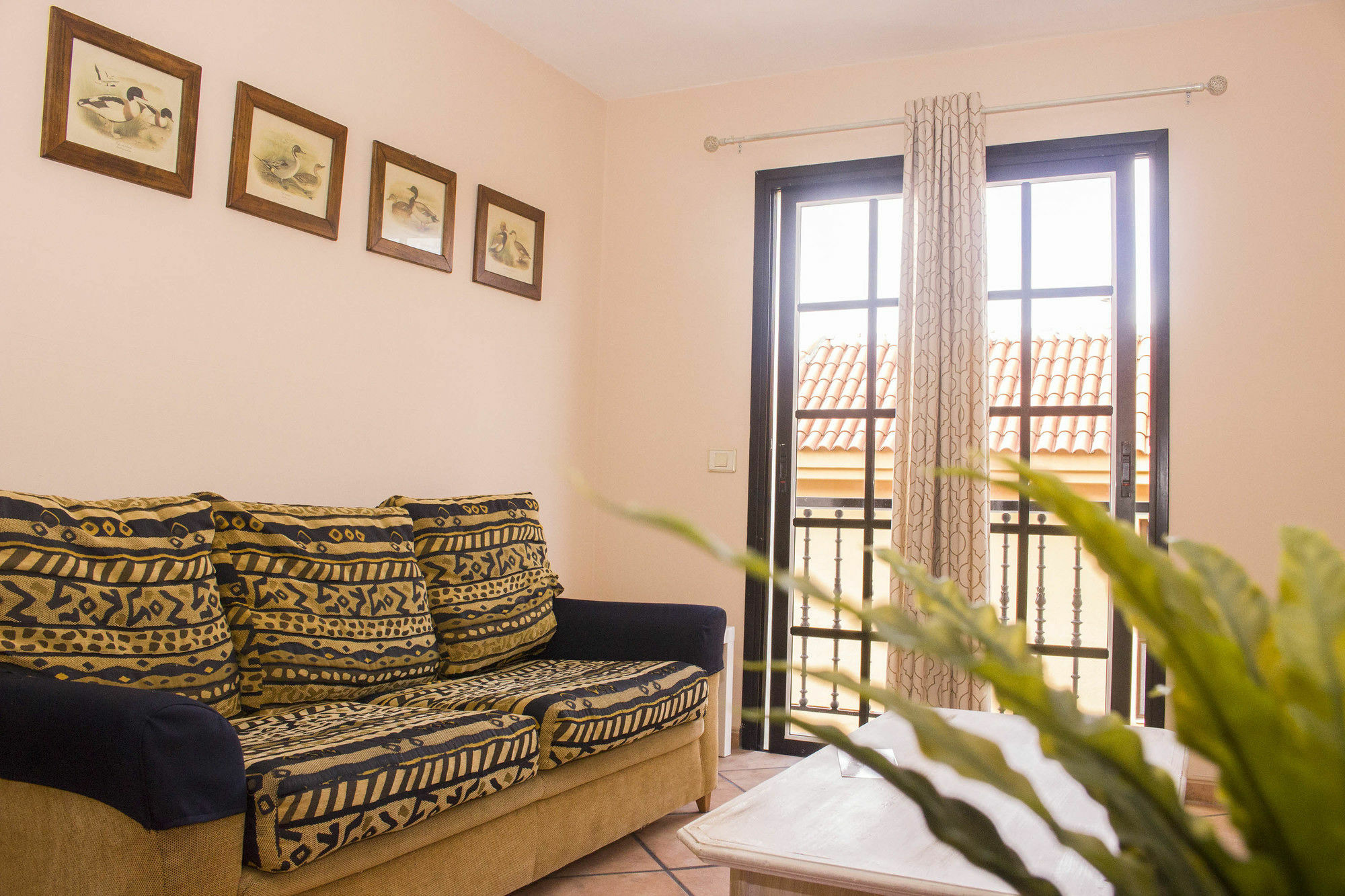 Apartments San Marcos Icod de los Vinos Kültér fotó